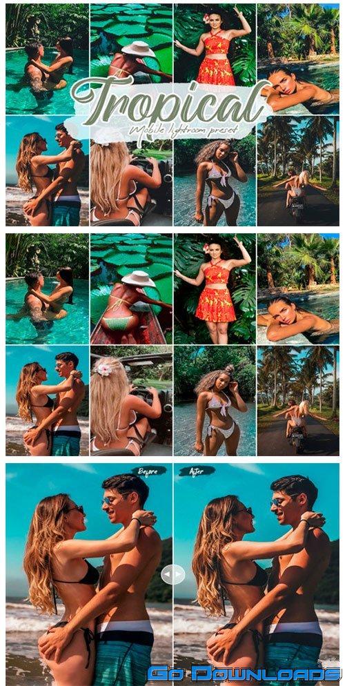 Tropical Lightroom Presets 8351761 Free Download