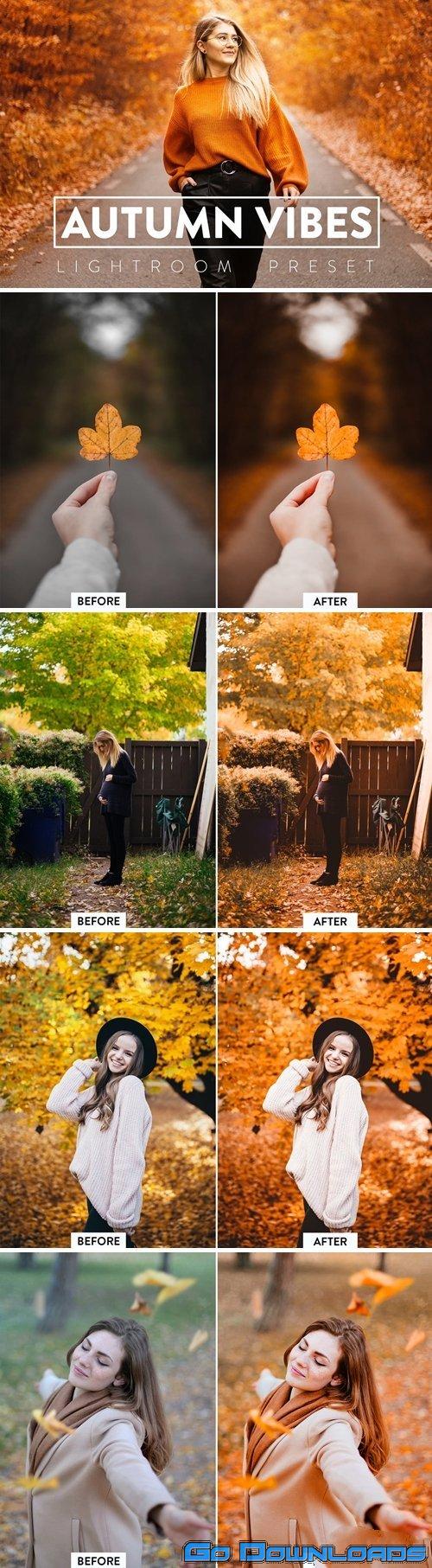 10 Autumn Vibes Lightroom Presets Free Download