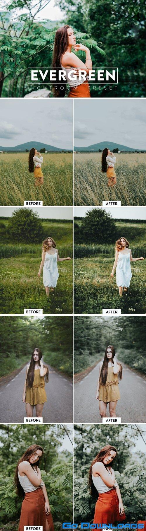 10 Evergreen Lightroom Presets Free Download