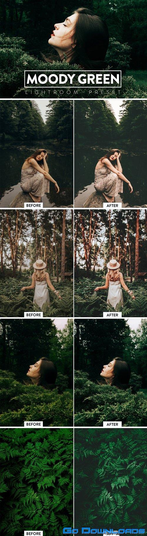 10 Moody Green Lightroom Presets Free Download