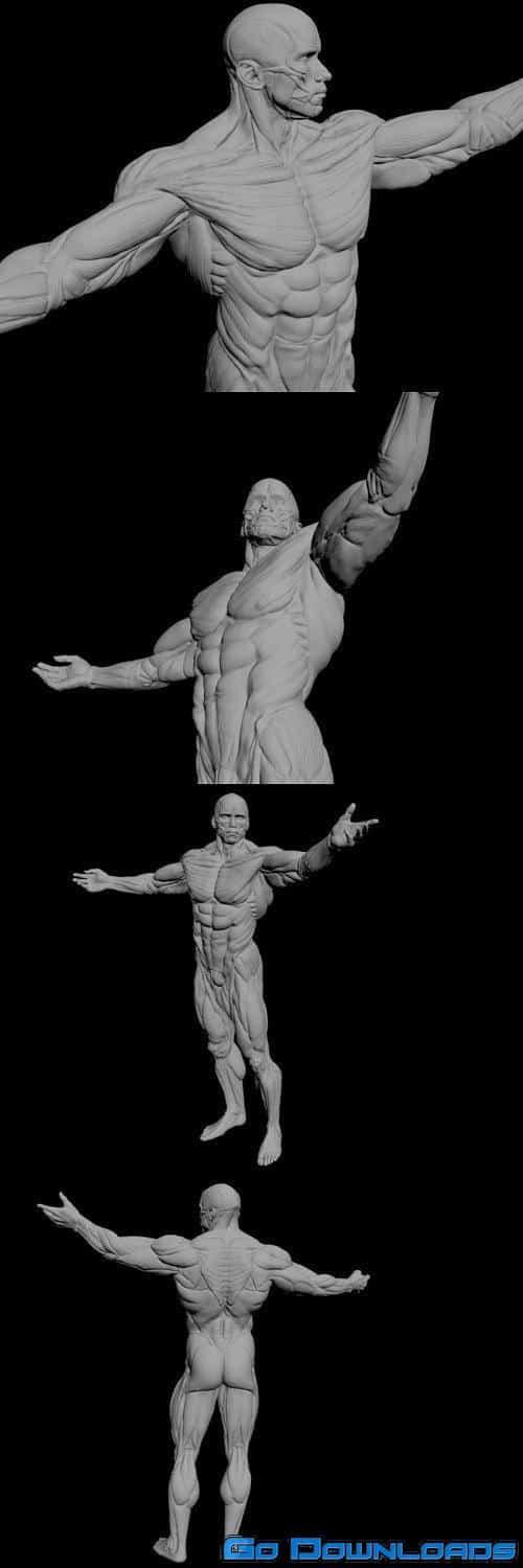 Apollon Sculpture Free Download