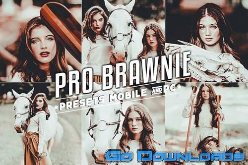 Brawnie Lightroom Presets Mobile and Desktop Free Download