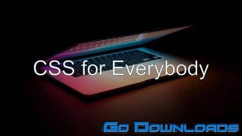 CSS for Everybody From Beginner to Boss Free Download