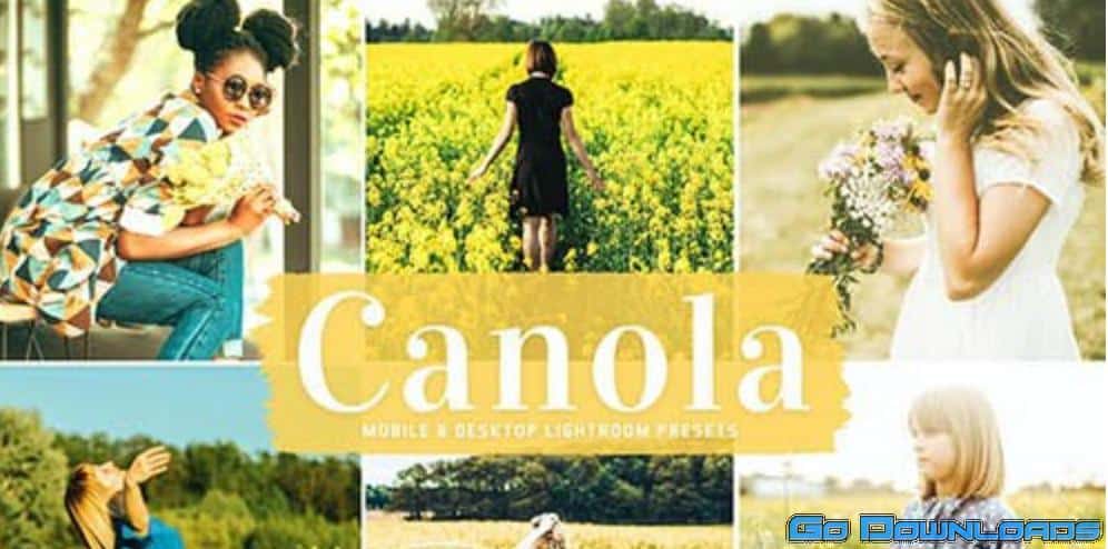 Canola Mobile & Desktop Lightroom Presets Free Download