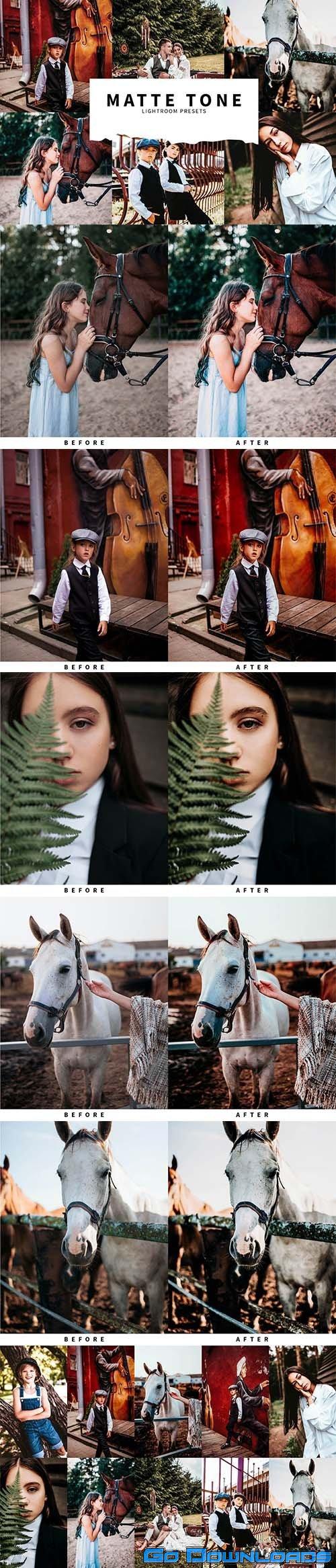 CreativeMarket 10 Matte Tone Lightroom Presets 5978544 Free Download