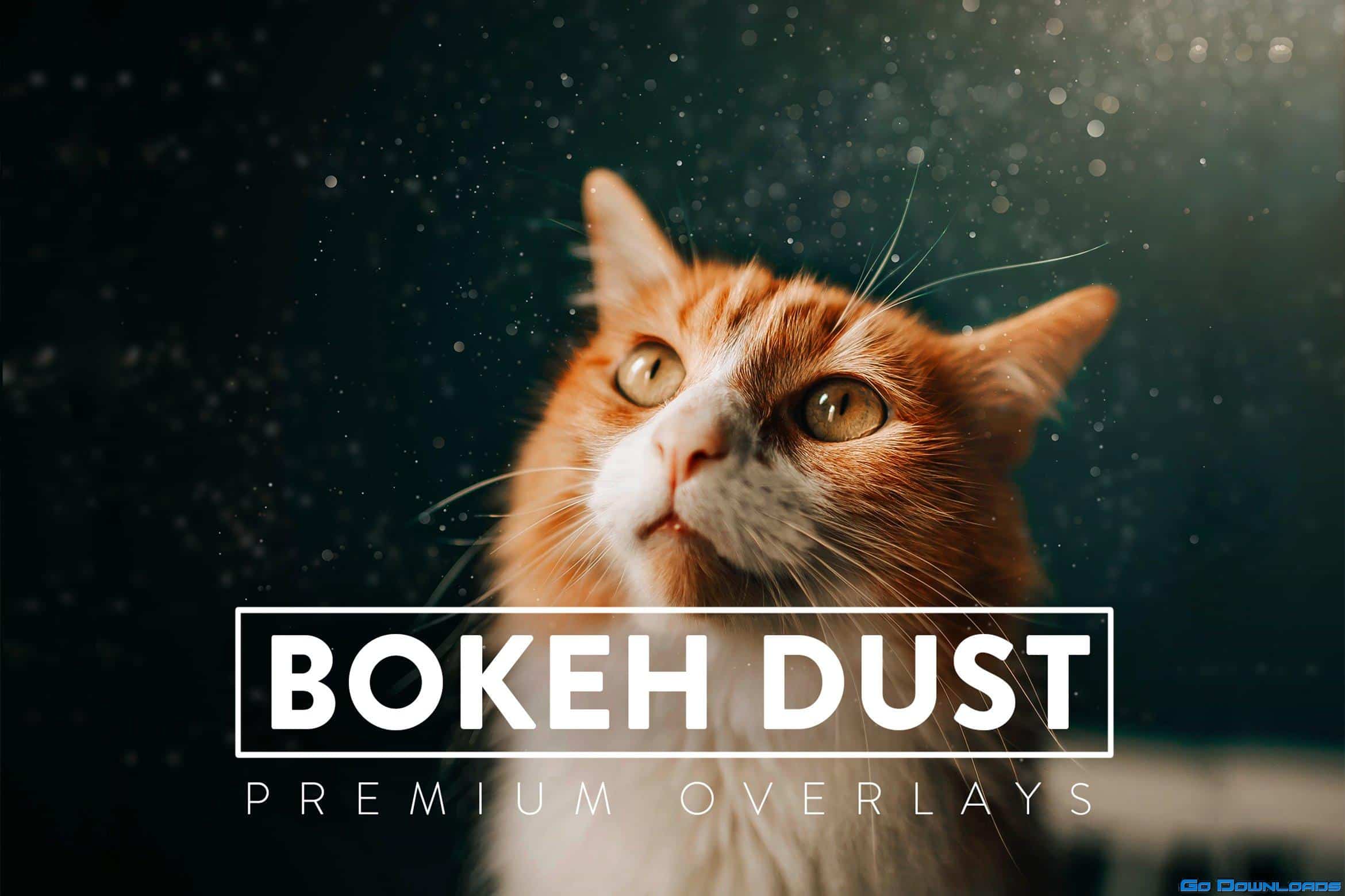 CreativeMarket 30 Bokeh Dust Overlays 5930979 Free Download