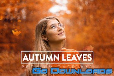 CreativeMarket 40 Autumn Leaves Overlays 5928912 Free Download