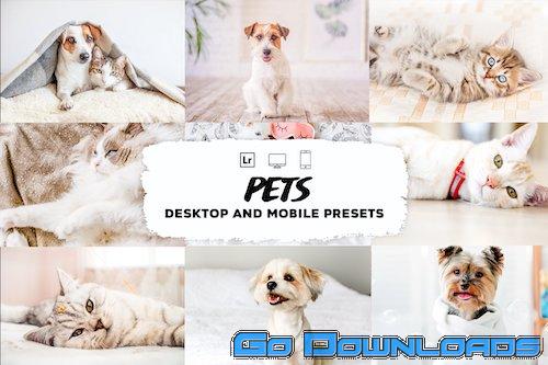 CreativeMarket Pets Lightroom Presets 5953585 Free Download