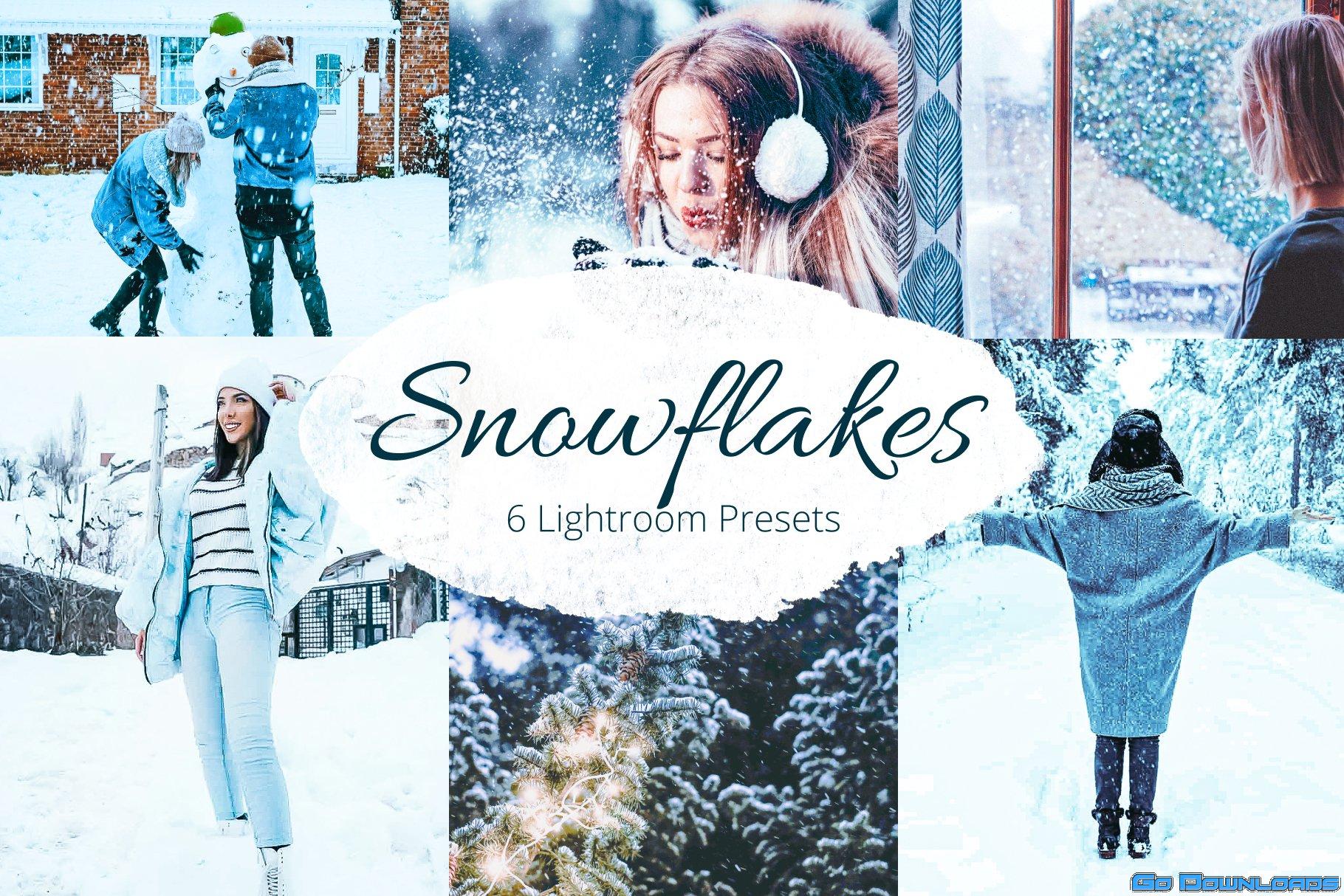 CreativeMarket Snowflakes Lightroom Presets bundle 5881215 Free Download