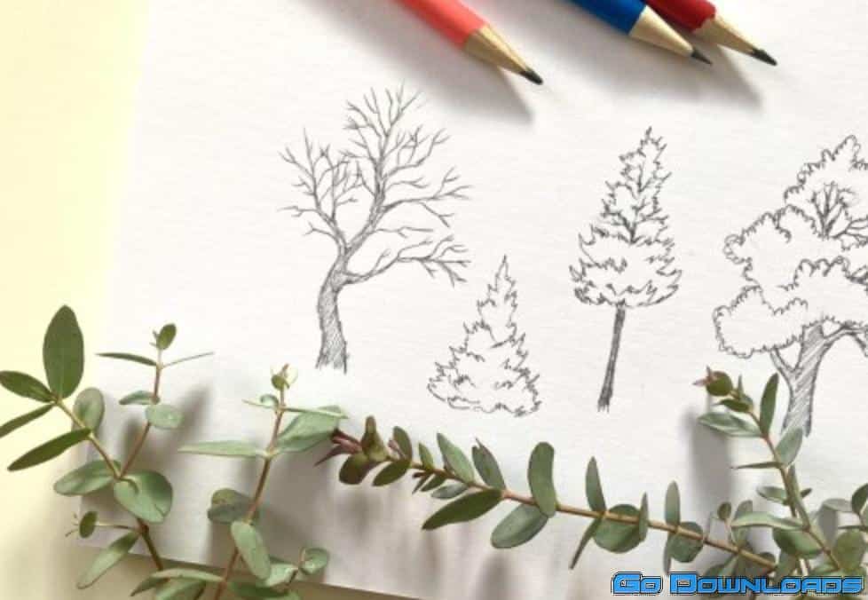 Draw Simple, Interesting Trees