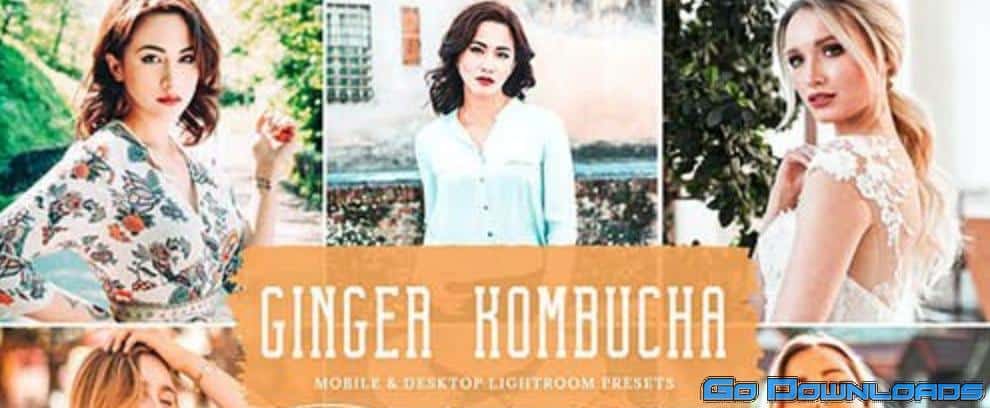 Ginger Kombucha Mobile & Desktop Lightroom Presets Free Download