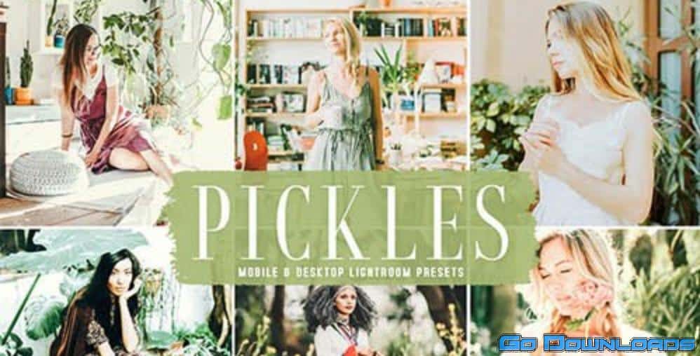 Pickles Mobile & Desktop Lightroom Presets Free Download