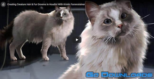 The Gnomon Workshop Creating Creature Hair & Fur Grooms in Houdini with Kristin Farrensteiner Free Download