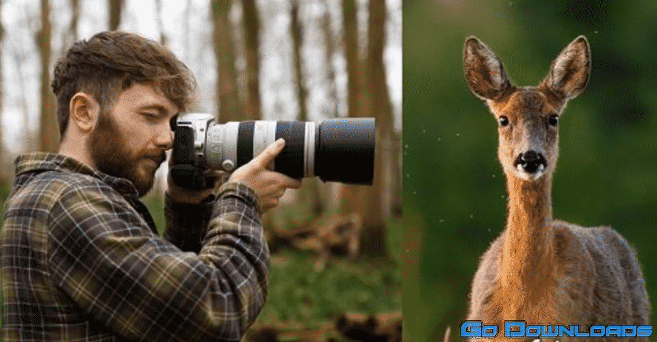 Wildlife Photography: How to Take Captivating Animal Portraits