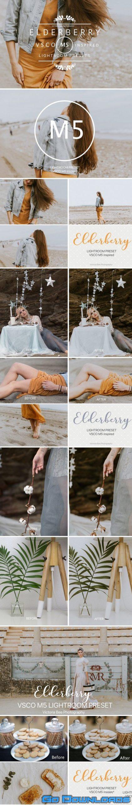 CM ELDERBERRY VSCO Cam M5 LR preset 2377890 Free Download