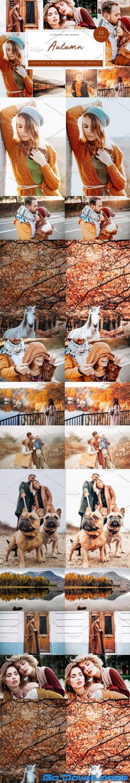 CreativeMarket 12 x Lightroom Presets Autumn 5960320 Free Download