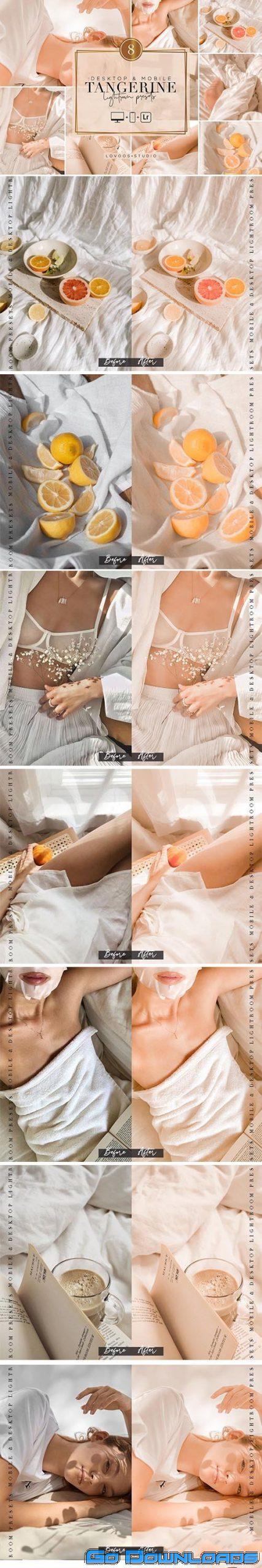 CreativeMarket TANGERINE Lightroom Presets 5954720 Free Download