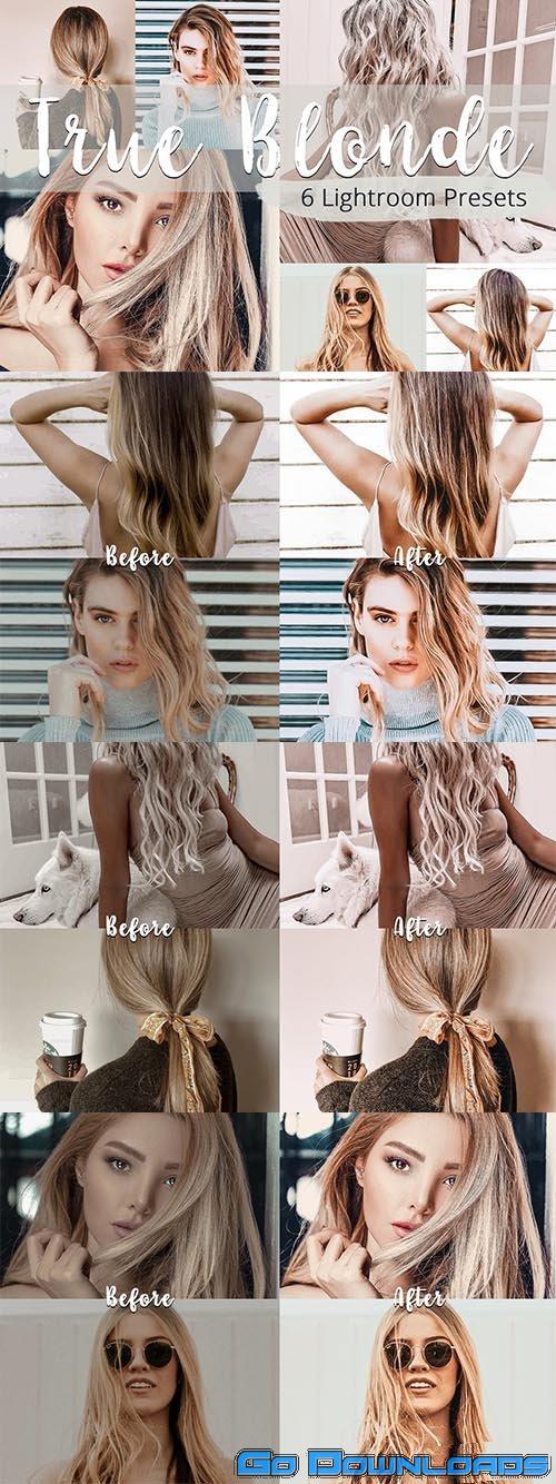 CreativeMarket True Blonde Lightroom Presets Pack 5923591 Free Download