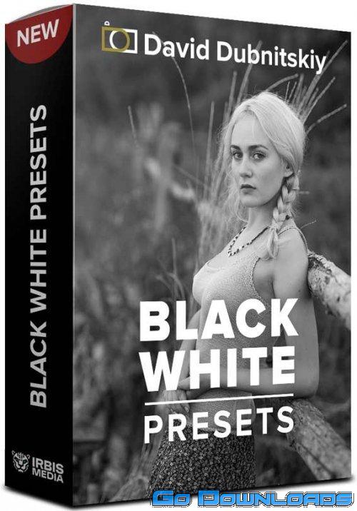 David Dubnitskiy 20 B&W PRESETS Free Download