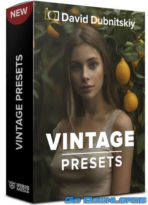 David Dubnitskiy Vintage Presets Free Download