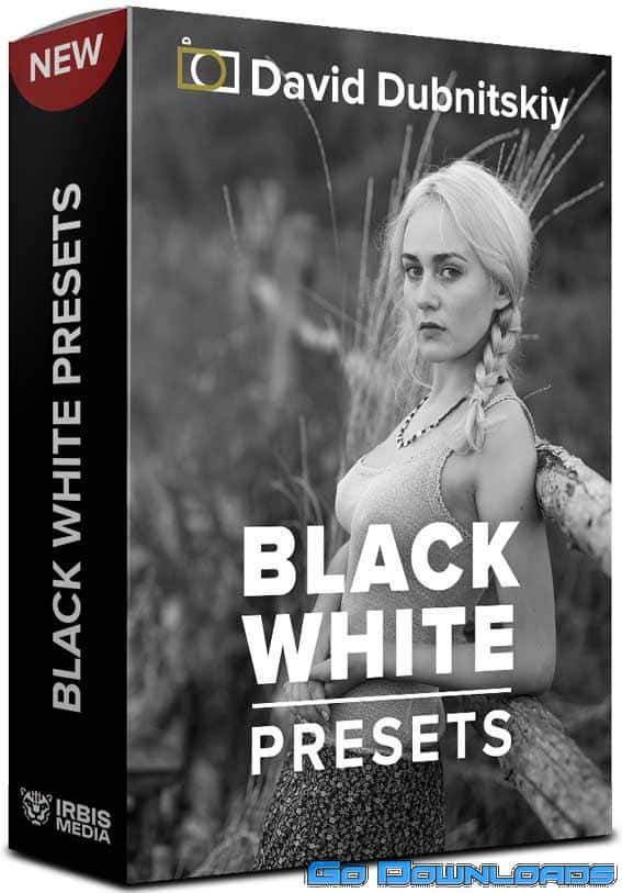 David Dubnitskiy – 20 B&W PRESETS Free Download