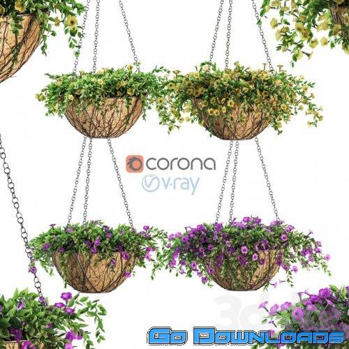 Flowers in a flower pot on a chain. Petunia. 4 models Free Download