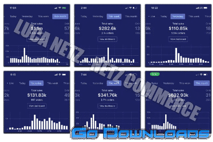 Luca Netz Advanced Dropshipping Free Download