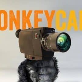 Aescripts MonkeyCam Pro 1.09 Free Download