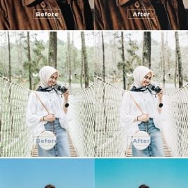 Aldway Desktop and Mobile Lightroom Preset Free Download