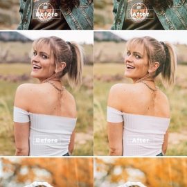 Bourne Desktop and Mobile Lightroom Preset Free Download