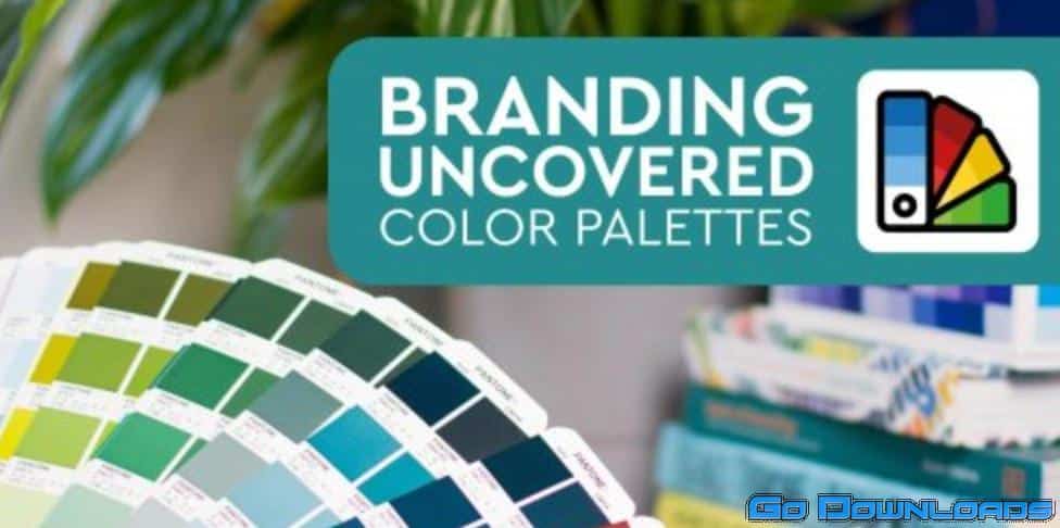 Branding Uncovered: Color Palettes – The Power of the Perfect Palette