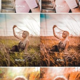 Brooke Desktop and Mobile Lightroom Preset Free Download