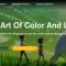 CGMA The Art Of Color And Light Free Download