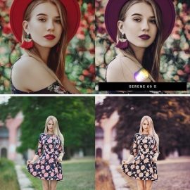 CM 50 Tranquil Purple Lightroom Presets and LUTs 4537559 Free Download