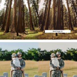 CreativeMarket – 20 USA Lightroom Presets & LUTs 6124510 Free Download