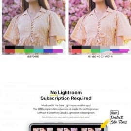 CreativeMarket 50 Sakura Light Lightroom Presets and LUTs 4783167 Free Download