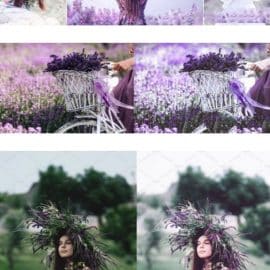 CreativeMarket Desktop Presets | Lavender 4789375 Free Download