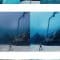 CreativeMarket Lightroom Preset-Underwater Blue 4976194 Free Download