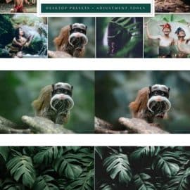 CreativeMarket Rain Forest // Desktop Presets 4594872 Free Download