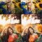 CreativeMarket Sunflower Field Presets | Desktop 4792014 Free Download