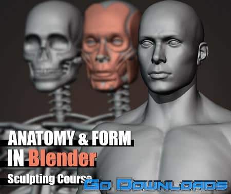 Gumroad Anatomy and Form in Blender Sculpting Course Free Download