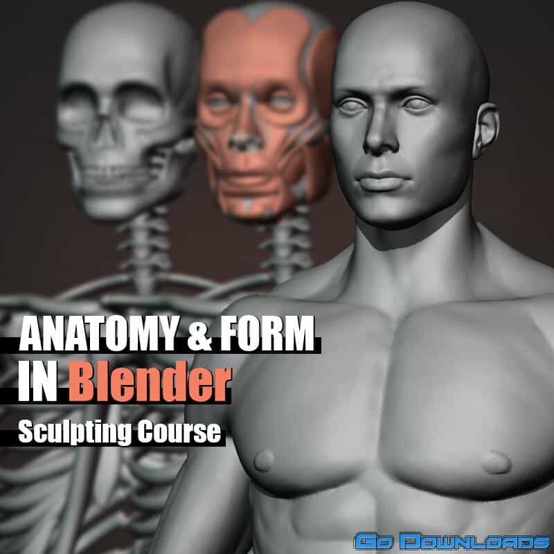 Gumroad – Anatomy and Form in Blender – Sculpting Course Free Download