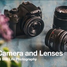 Photo Essentials: Best Camera and Lenses for Food and Still Life Photography