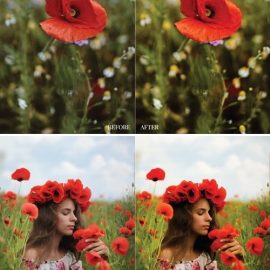 Poppy Mobile and Desktop Lightroom Presets Free Download