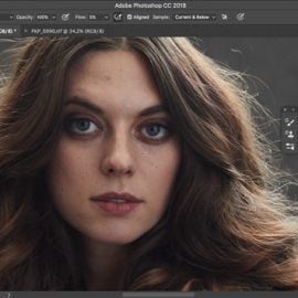 Portrait Masters Retouching Series by Pratik Naik Free Download