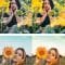 Sunflower Mobile and Desktop Lightroom Presets Free Download