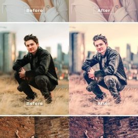 Tamara Desktop and Mobile Lightroom Preset Free Download