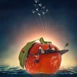 Tara Lesher Education – Compositing Tutorials – James & The Giant Peach