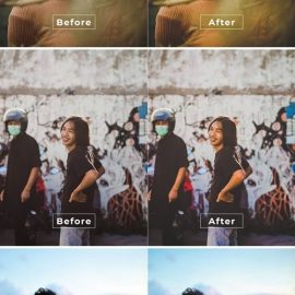 Teona Desktop and Mobile Lightroom Preset Free Download