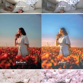 Vijayashree Desktop and Mobile Lightroom Preset Free Download